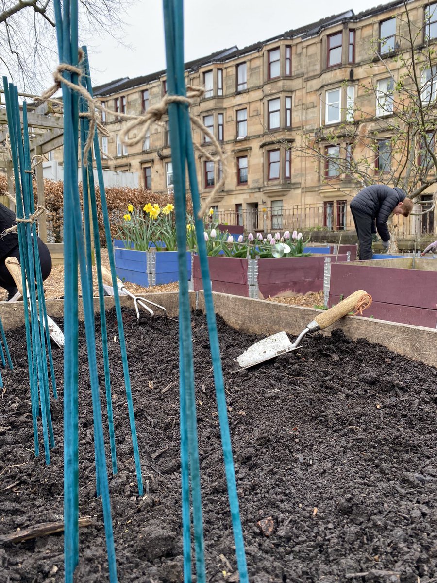 MsWallis1's tweet photo. Garden looking great in the sunshine. @Paisley_Grammar @RHSSchools @AngelaSmith_xo https://t.co/jbPr44wt75