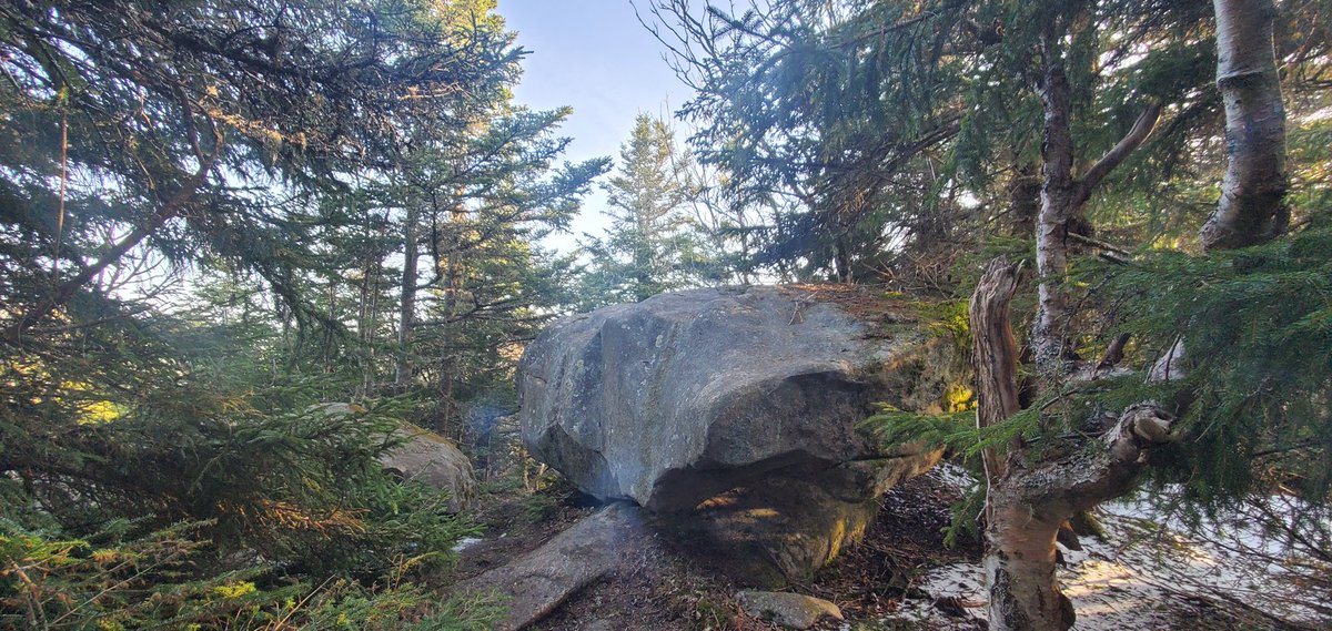 newyorksalt's tweet photo. #Backyard #Adventures 👣

✔️ Balanced Rocks 🪨 1000m
✔️ Pitchoff Mt. ⛰️ 1166m

I ❣️ #NY

📸 w/ @Samsung #Note10Plus https://t.co/ifpXHyvpQ6
