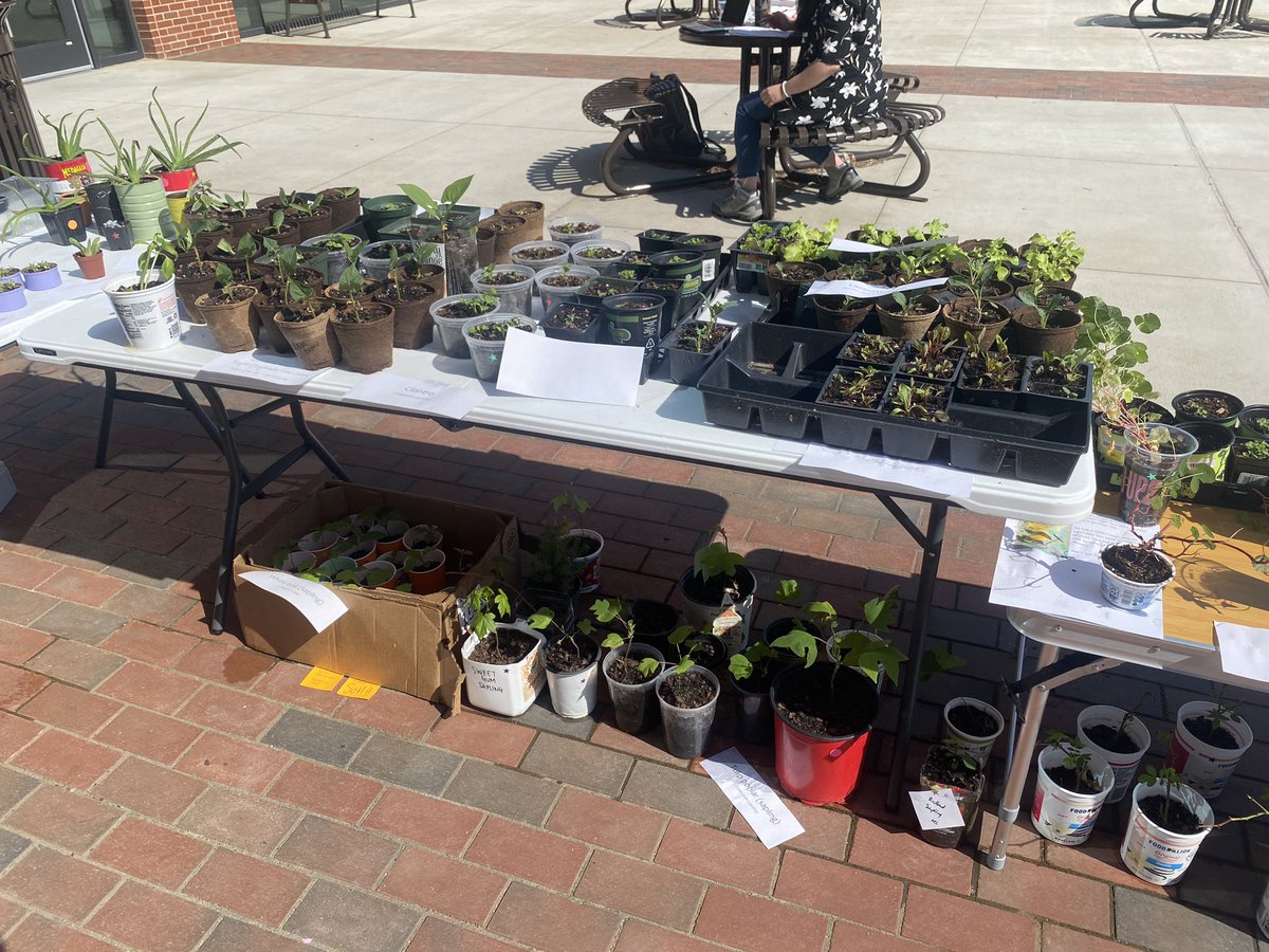 ECU BGSA tweet media