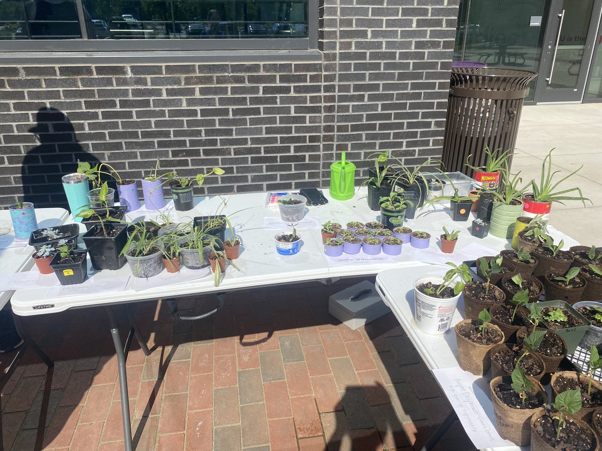 ECU BGSA tweet media