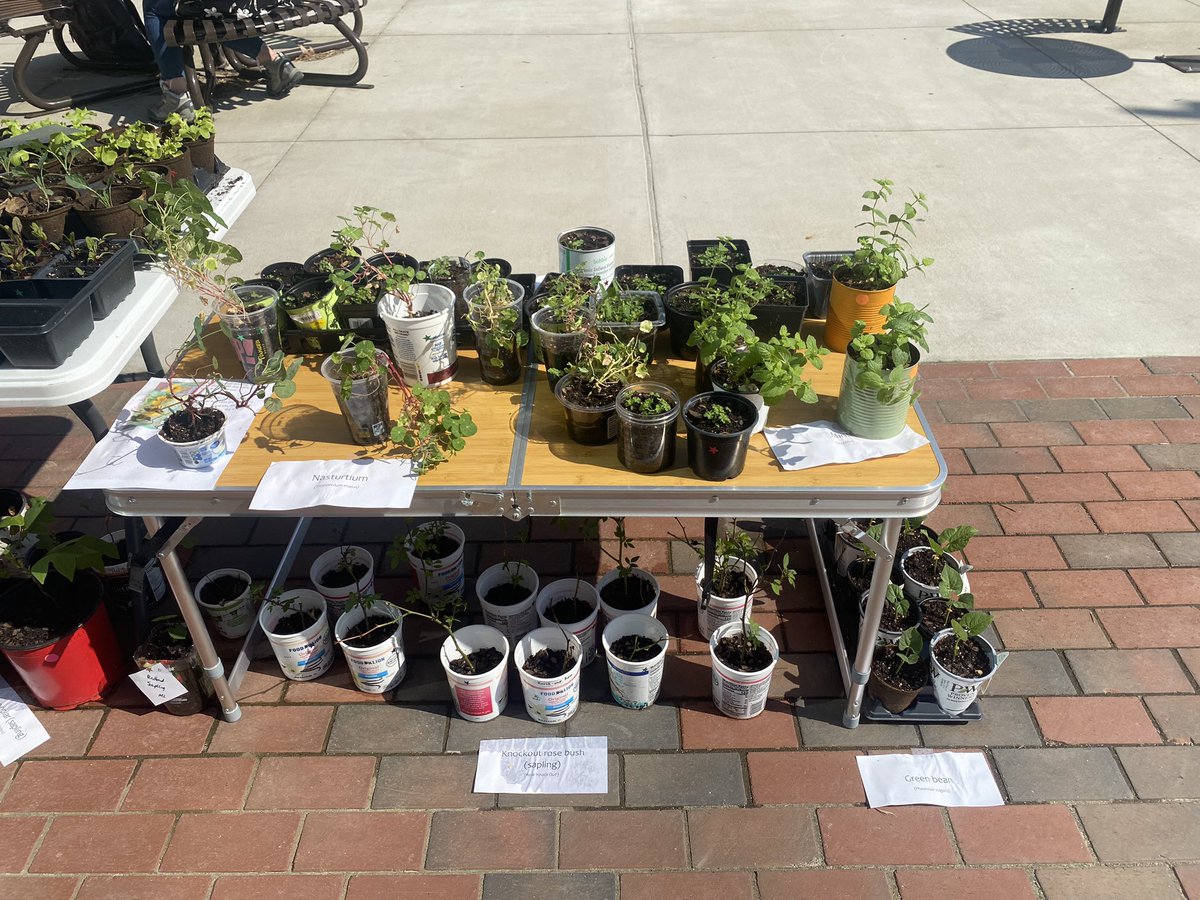 ECU BGSA tweet media