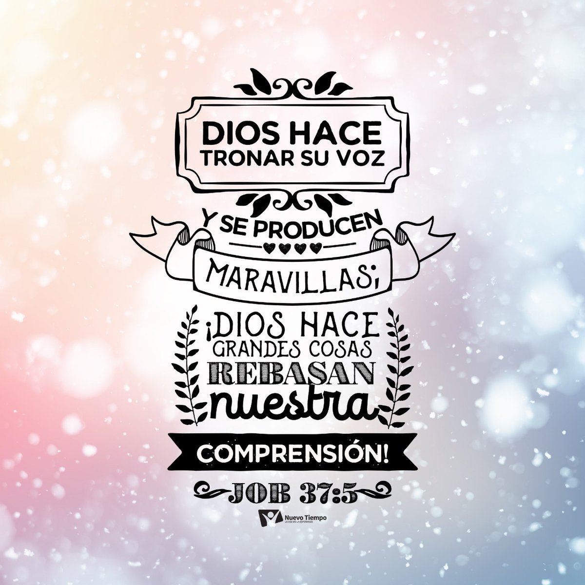 ntchile's tweet photo. Dedicar un tiempo para observar la majestuosidad y la hermosa  creación de Dios, 🌻🌈 nos ayuda a recordar su poder en cada uno de los aspectos de nuestra vida. 🙌🏼❤️

#RPSP #PrimeroDios #Job37 https://t.co/6jqLimMDkK