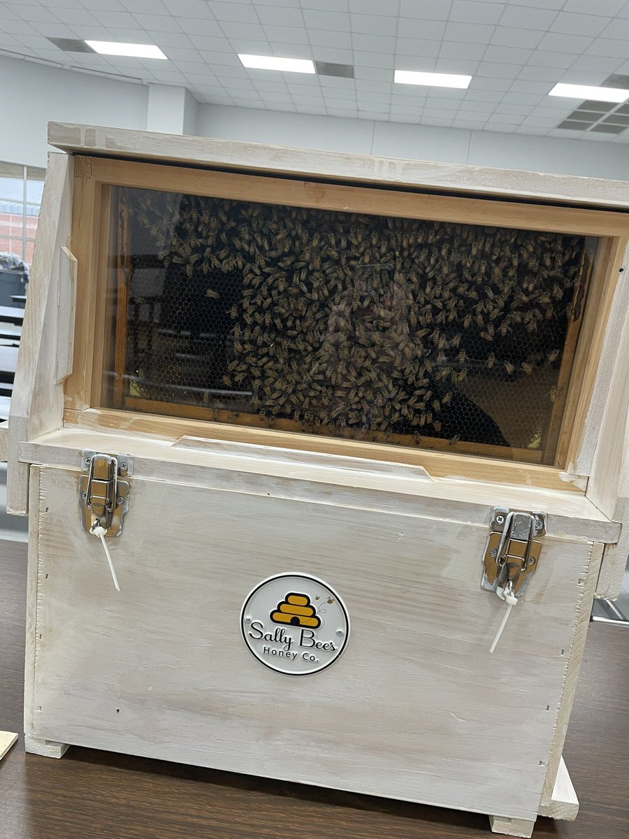 RPSMakers tweet media