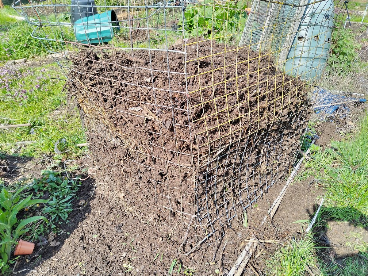 A potato tower. Layers of potatoes. The tower could have been taller but it's hard work getting that much composted material together. I could still earth up the top layer later. #allotment