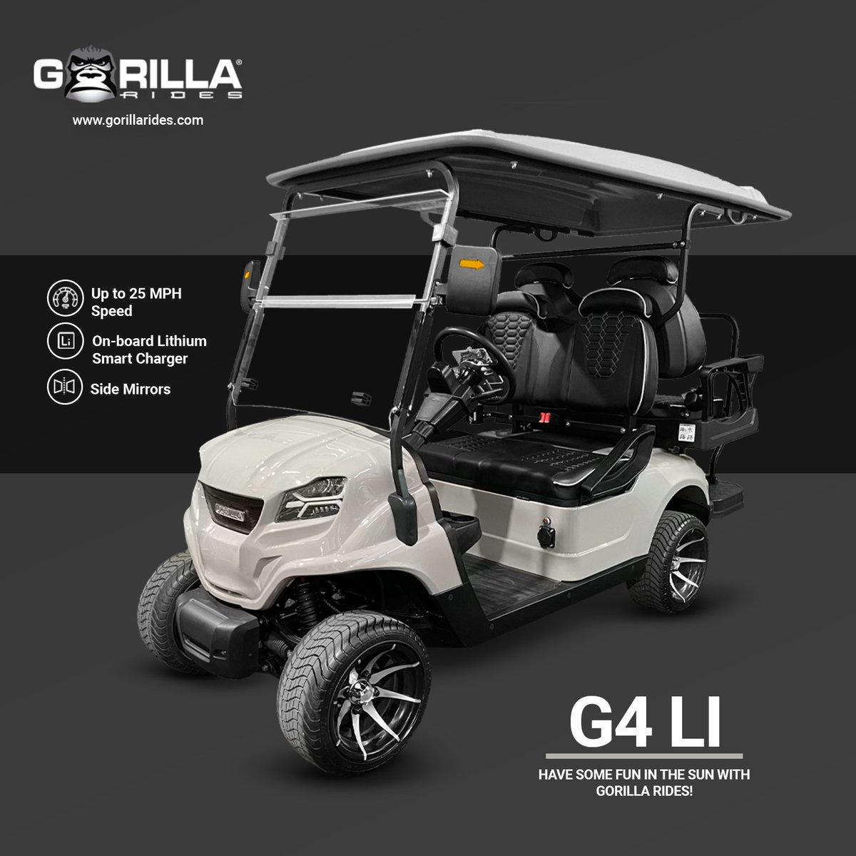 😎Hit the road with our latest member the NEW G4 LI, the perfect companion on the road.🌇

#GorillaRides #ComfortFirst #BetterThanTheRest #ElectricPower
