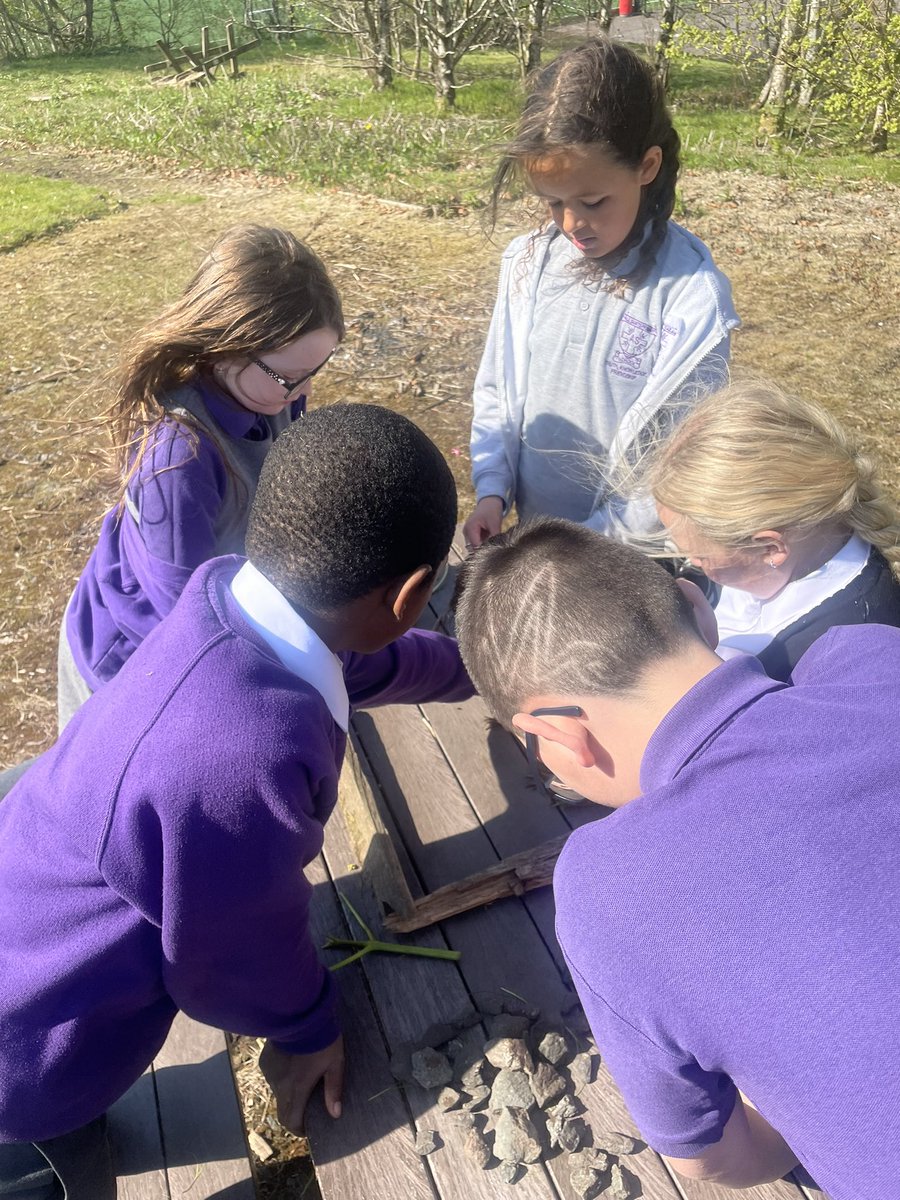 missmcdade_'s tweet photo. It’s great to learn outdoors! We were learning to create ephemeral art this afternoon. We discussed what natural materials we could collect from the ground, how to be safe when collecting materials and we created our own pieces of art using the materials! 🌿🪵@ASP180 https://t.co/JFtJvvBT0x