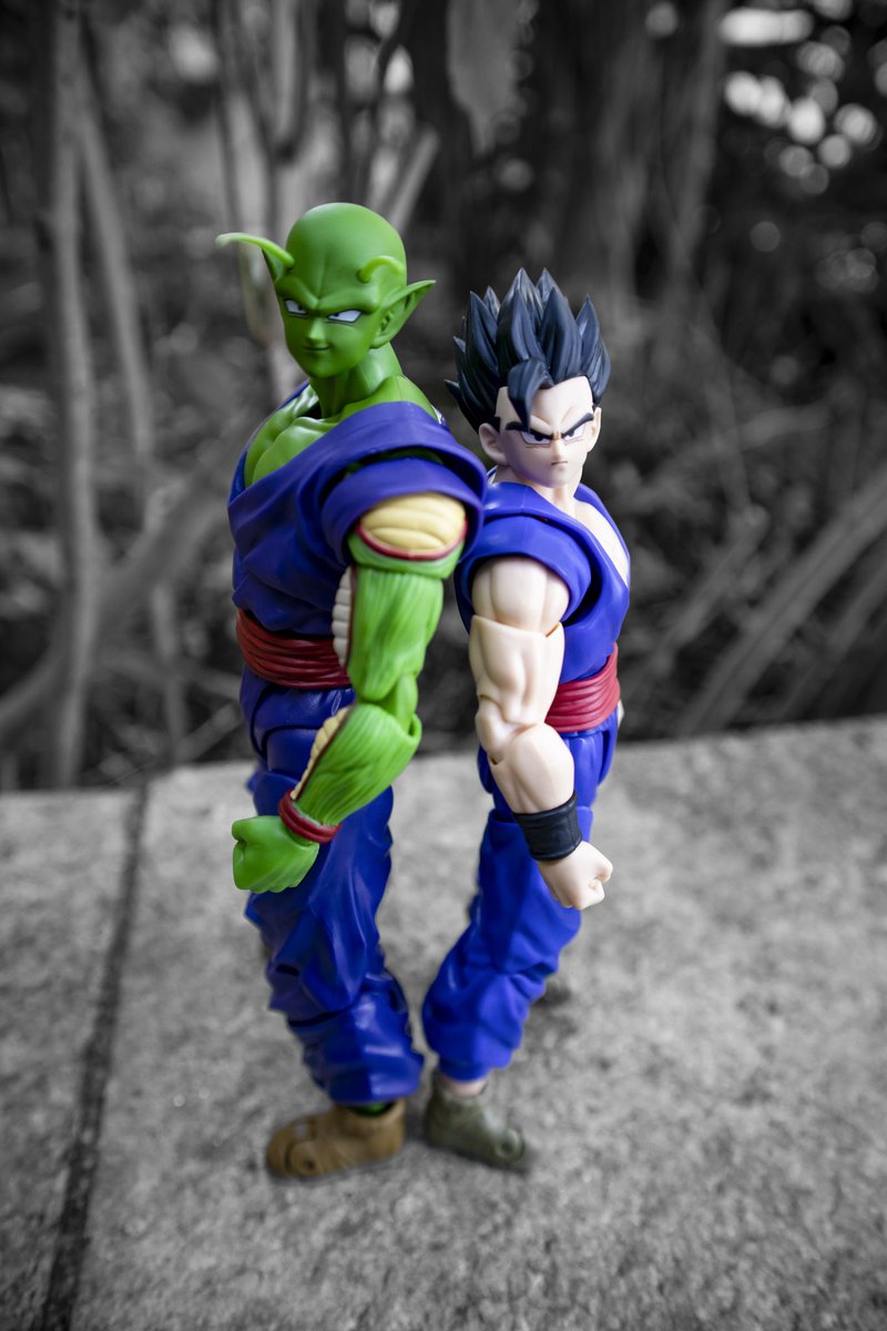 Torocollect's tweet photo. Its time! 

#Shfiguarts #shfiguartsdragonballz #tamshinations
#tamashii #bandai #dragonballsuper #dragonball
#dragonballz #actionfigures #fight #battle
#toyphotography #collection
#toystagram #nerd #anime #dbz #geek #manga
#namek #frieza #kuririn #fight
#gohan #piccolo https://t.co/x0klAIhl1p