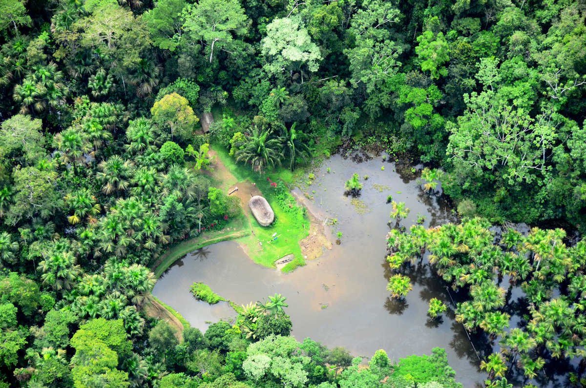 Field Museum on Twitter "Loreto, Peru is the most biodiverse corner of