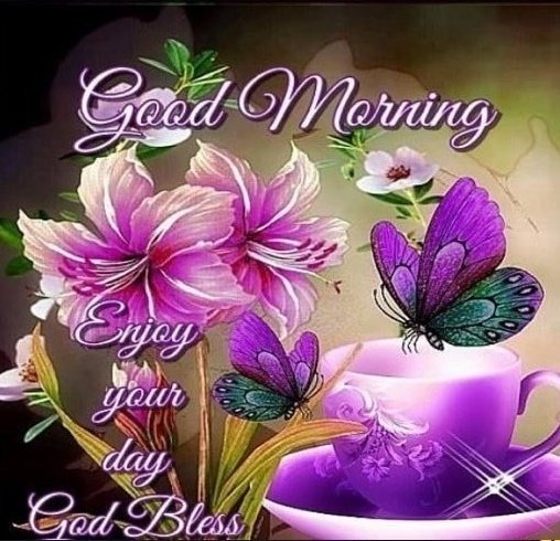 𝙷𝚒𝚔𝚊𝚛𝚒 (@divinemercenary) on Twitter photo 