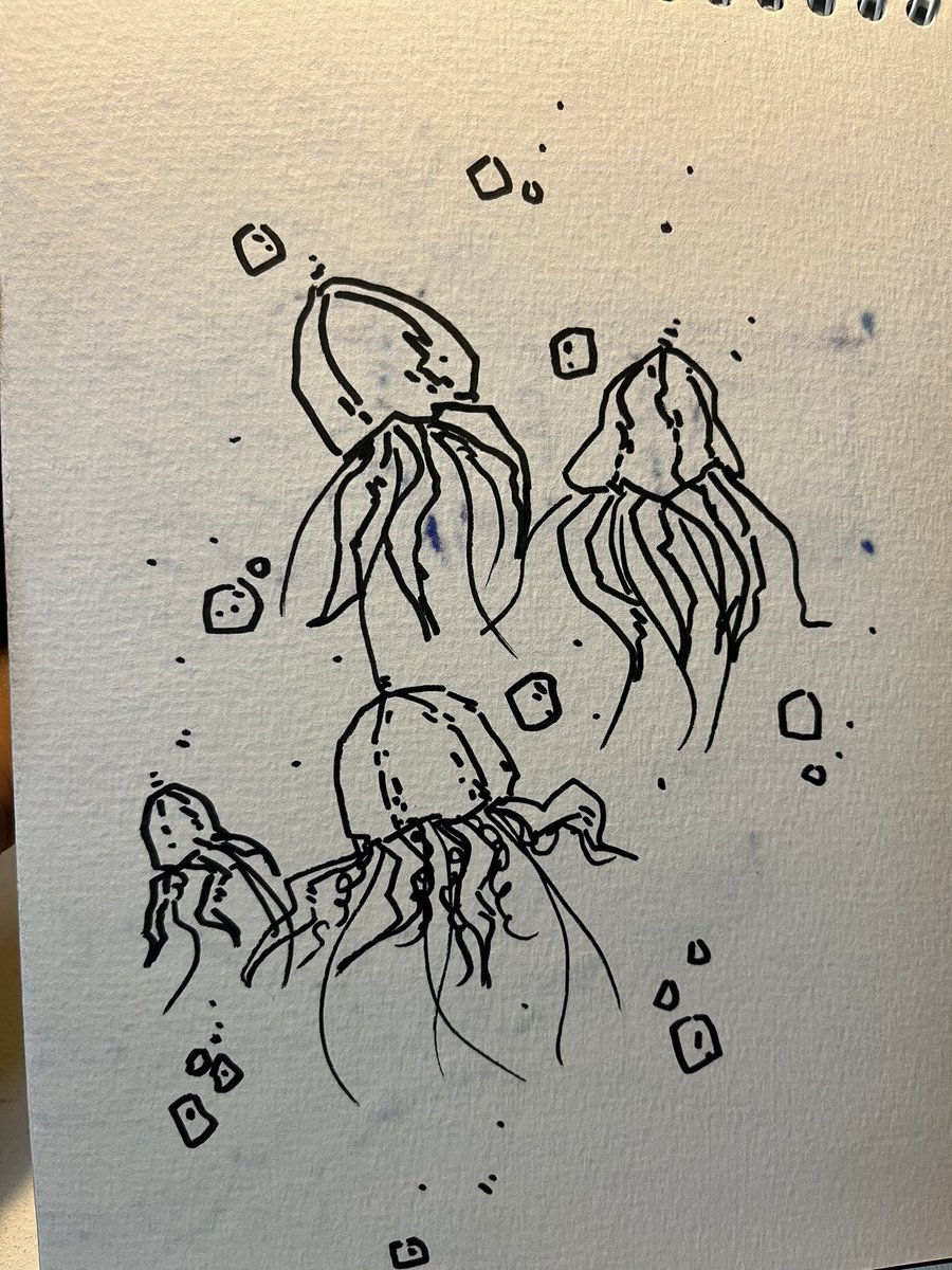 ubisbjorn's tweet photo. Illustration dump 21.04.23
#illustration #illustrationartist #illustrations #DigitalArtist #digitaldrawing #twitter #art #twitterart #jellyfish #nature #sea #SEA #animls #sketches #quicksketches #colour #conceptart #concept #srilanka #lka #asia #SriLanka https://t.co/obVMdifEC7