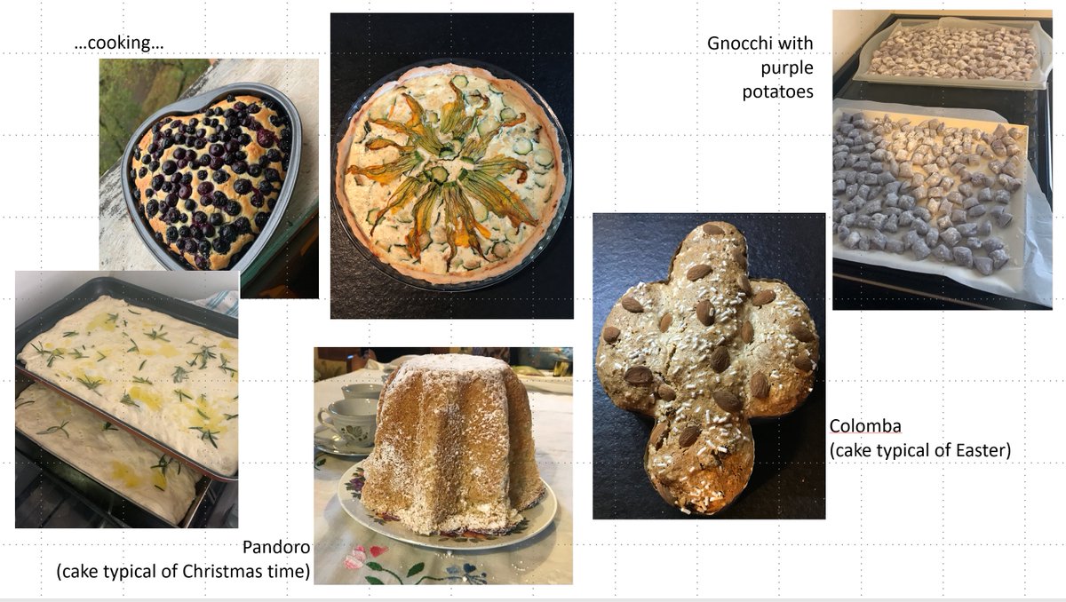SistersofSAR's tweet photo. 8/8⭐️#SAR_STAR @elisa_trasatti spends her free time with her family👨👩👧👧, cooking🍳, sewing🧵, knitting🧶, acting in historical re-enactments👑, & organizing dinners for friends on the beach🏖️🍲! #WomeninRemoteSensing #WomeninSAR https://t.co/Q1gesEKwBD