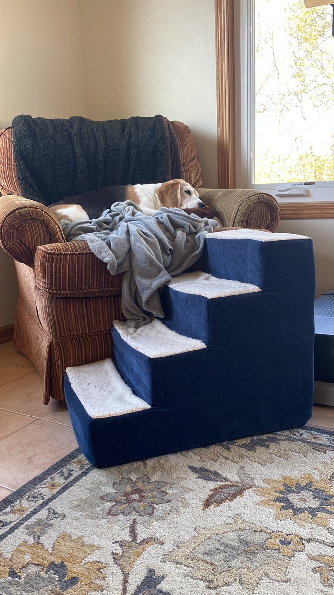 RileyBeagle tweet media