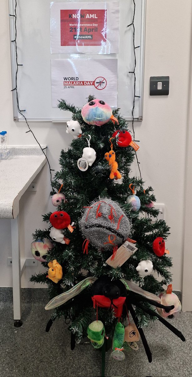 Promyelocyte13's tweet photo. On #worldamlday today here's my 'event tree' (think Christmas but year round). #stemcells #blasts #redcells #whitecells with a giant mosquito thrown in for #worldmalariaday on the 25th! #morphology #haematology #haemgeek @UHNM_NHS #training #education https://t.co/Pg6x3QRaUP