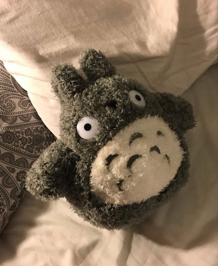 ‧₊˚✩彡 busco mutuals

;no soy nueva en #kpoptwt pero busco mutis con los que interactuar

☆skz, twice, nwjns, txt, enhypen, ++

⋆ fav+rt❕