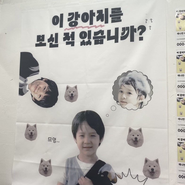 benniethatshot's tweet photo. 제노 생카 투어~~

여기 너무 귀여웟구… 꼭 음료 안사도 되서 너무 좋앗서요🩵
스티커팩이랑 포카홀더 세트도 색별로/종류별로 팔아서 오히려 좋아…
이전에 생카 여러곳 다녀서 음료수가 너무 많아서 걱정햇는데 다행…
심지어 여기 특전두 다 깜띡함
 #므엉_강아지를_본_적_있어요 https://t.co/ZB01xAhsaF