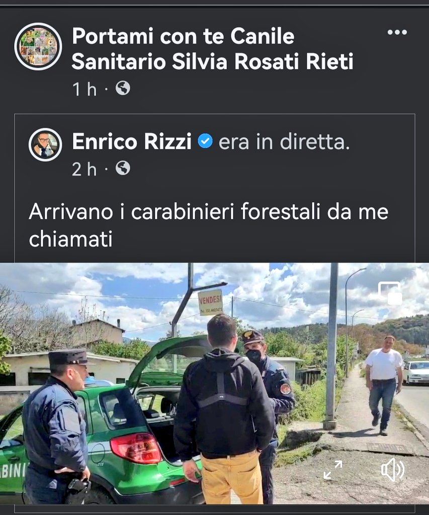 MonicaOrsini8's tweet photo. #Rieti #Lazio #AslRieti #CarabinieriForestale #Forestale #Cani #SosCani https://t.co/sRdDDkXi2r