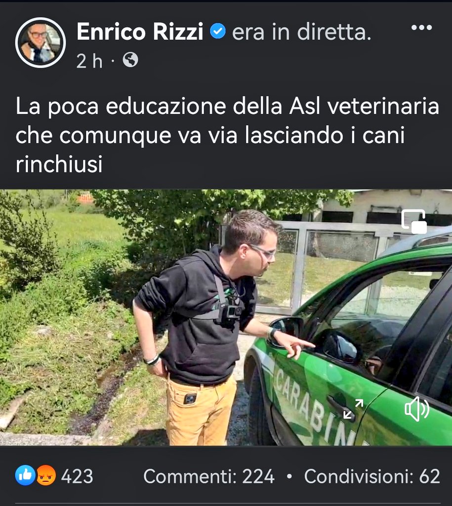 MonicaOrsini8's tweet photo. #Rieti #Lazio #AslRieti #CarabinieriForestale #Forestale #Cani #SosCani https://t.co/sRdDDkXi2r