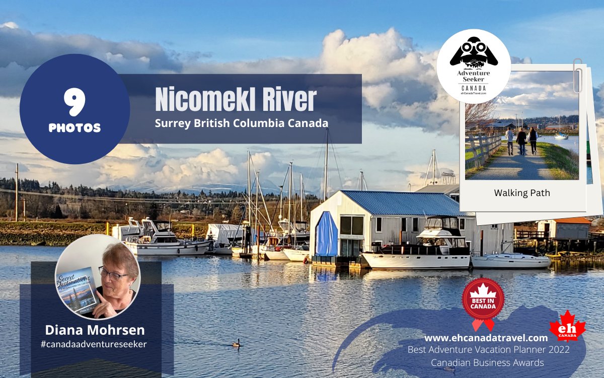 ehCanadaTravel's tweet photo. (9 Photos) The Nicomekl River is a quiet little river that flows out into Mud Bay at Crescent Beach. Explored by Canada Adventure Seeker Diana Mohrsen.
***
https://t.co/5DkClQwMf8
***
#canadaadventureseeker #experiencecanada #canada #ehroadtrip #birding #mudbay #crescentbeach https://t.co/gVoXL21lqi