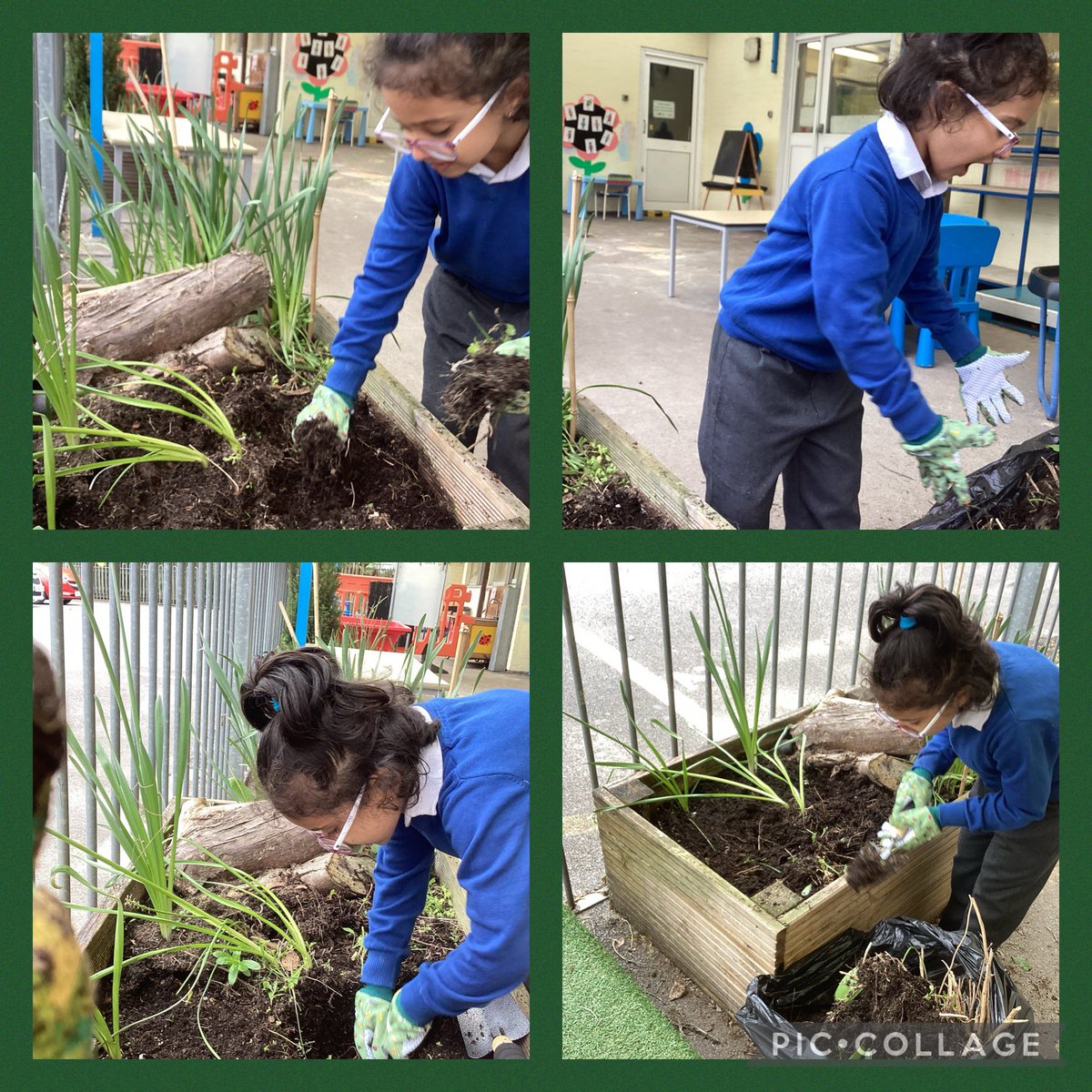 Today we did some gardening in Reception and talked about how important it is to take care of living things. <a href="/MrsThomasSMTV/">MrsThomasSMTV</a> @SMTVCardiff