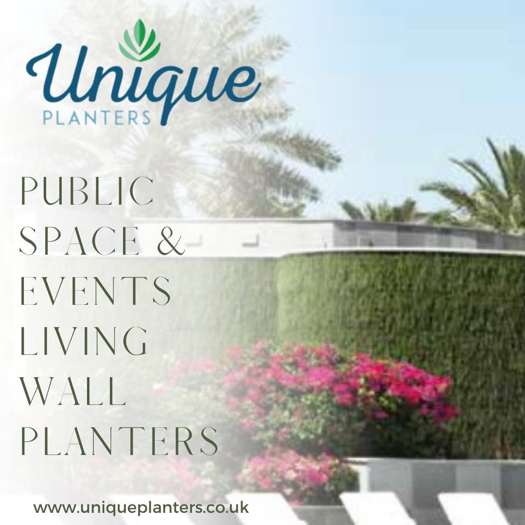 UniquePlanters's tweet photo. Check out our website and browse our range to find a huge choice with hundreds of planter styles to choose from, small to very large 

https://t.co/n6XVdX6IzM

#planters #interiorplanters #exteriorlanters #allcolours #allbudgets
#plantersforrestaurants #outdoorplanters https://t.co/8qMTuTguey