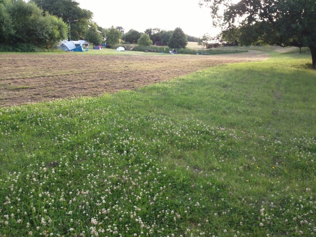 Telegram-Certified-COVID-Engineer tweet media