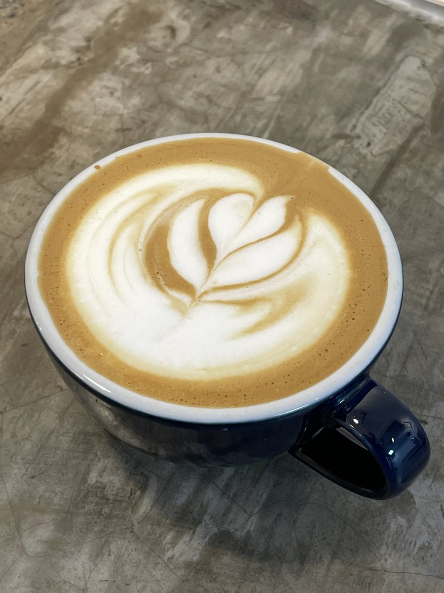 Fernando Gallegos tweet media