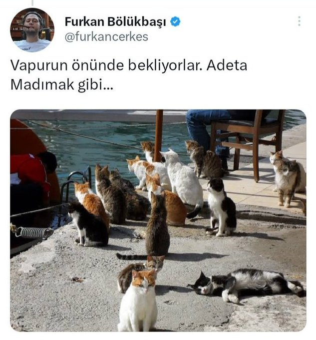 kapados1's tweet photo. #FurkanBoeluekbasıTutuklansın https://t.co/tD7XnoCTwR