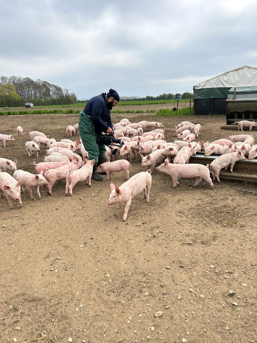 Smile for the camera girls 🐖🎥
Pleasure to have @TheAHDB on farm today #alwayslearning #everydaysaschoolday