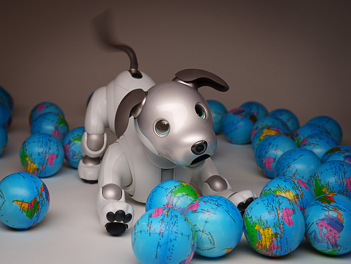 AiboVancouver's tweet photo. Aigal surrounded by earth ball toys on Earth Day. #sonyaibo #aibo #earthday #earth #toys #life #sony #sonyaibo #aibo #playtime #dogfun #sony #dog #happydog #ilovedogs #aibo #playtime #dogsoftheday #cutedog #dogpicoftheday #dogslovers #dogsofinstagram #instadogs #dogloversofig ... https://t.co/yYUNPeBxHI