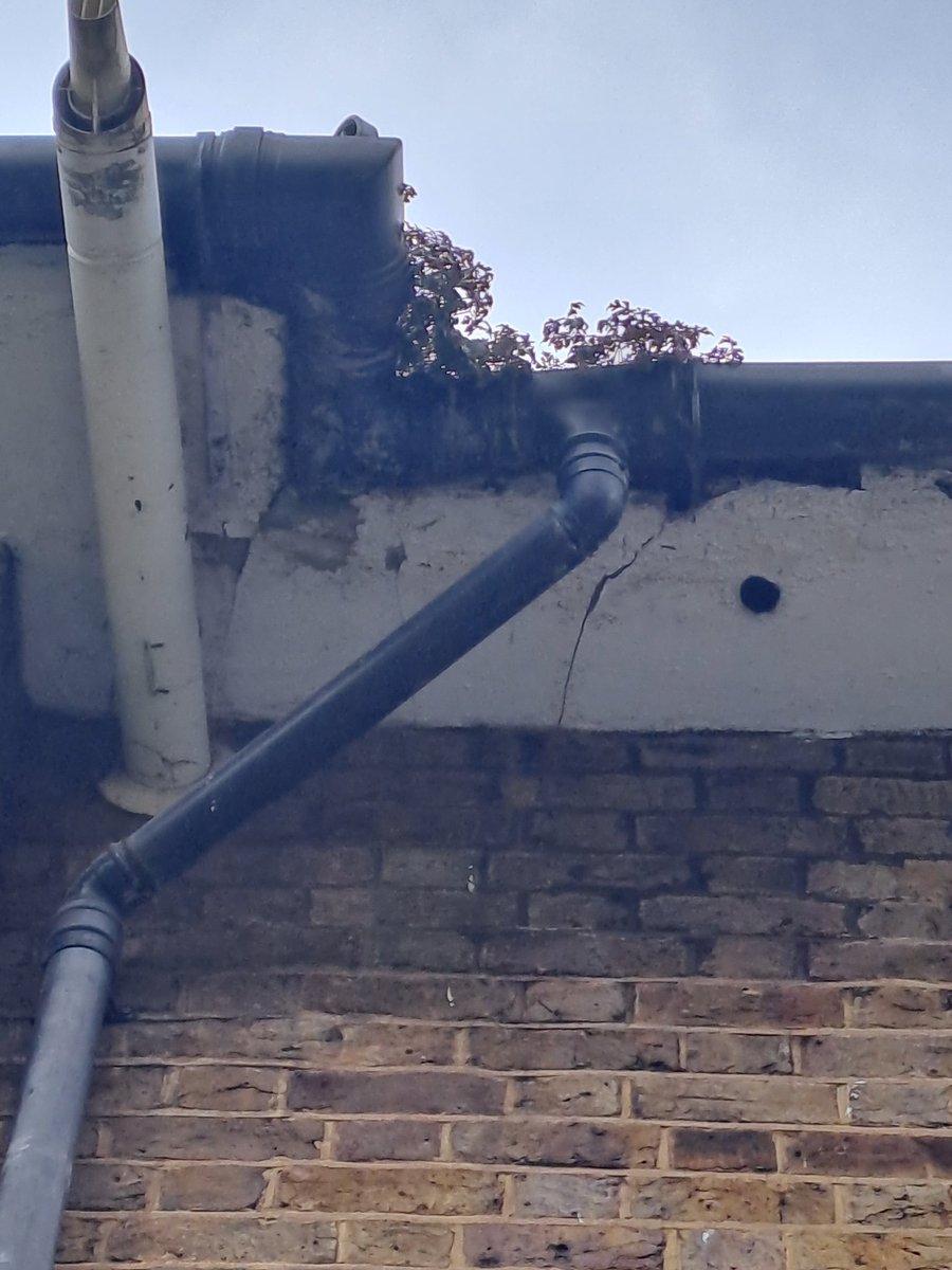 SabrinaAndrew's tweet photo. @PeabodyLDN how many birds can fit in this hole I can tell you 6! https://t.co/DdTGNd2ham