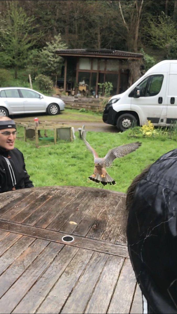 quietMissP's tweet photo. Y6 @SwainswickPrim1  had spectacular day w @NaturalSparks 💚@CEYAconsultancy 💚

Ducklings, kestrel, biodiversity, warm spiced apple juice, climate education, zip wires, mental health, planting, wellness - all in most idyllic setting.

Thanks to @KESBath for helping us w bus! 🙏🏻 https://t.co/HfhQAAbSZ7