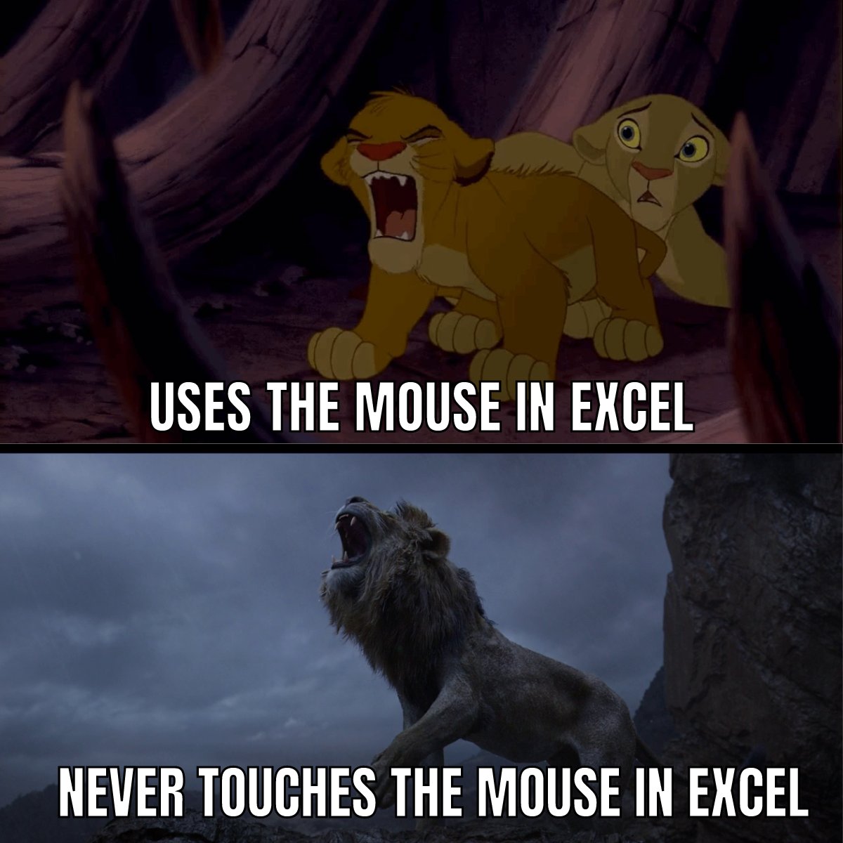 🦁 Which one are you?

#excel #finance #excelskills #exceltraining