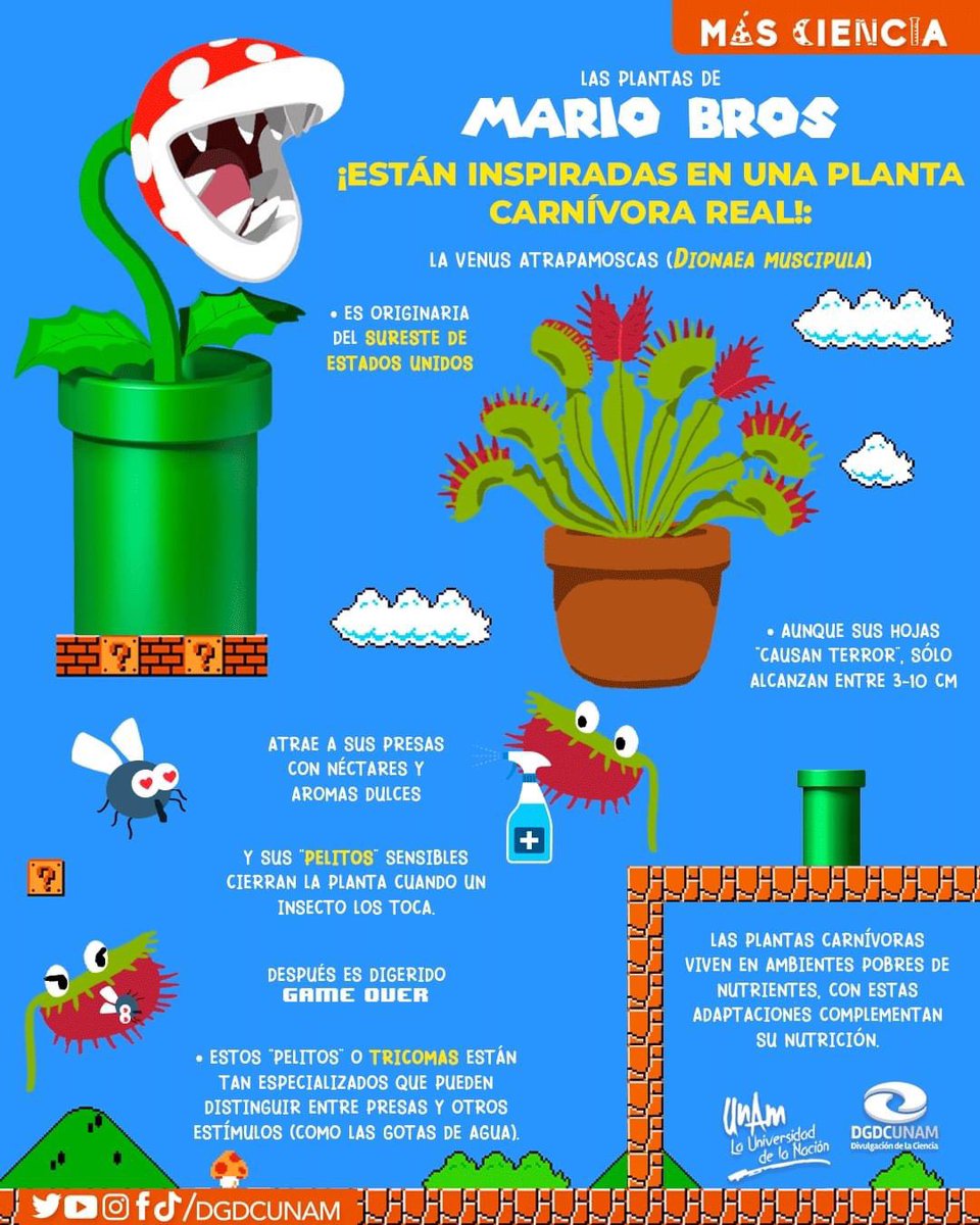 DGDCUNAM's tweet photo. ¡Las legendarias plantas de Mario Bros están inspiradas en una especie real!

La Venus atrapamoscas llega a esta infografía para hacernos disfrutar #MarioBrosMovie  con #MásCiencia.😎 https://t.co/4bUKW6Wz3o