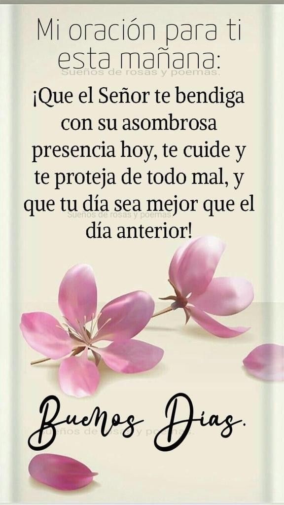 Oralia Lagunes Zúñiga (@oralialagunes) on Twitter photo 