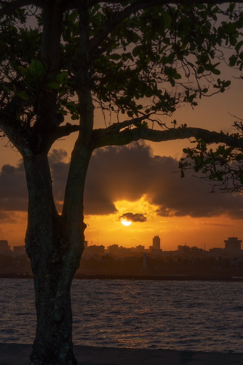 josesanchezfoto's tweet photo. Atardecer en Santo Domingo https://t.co/qN653HSvML