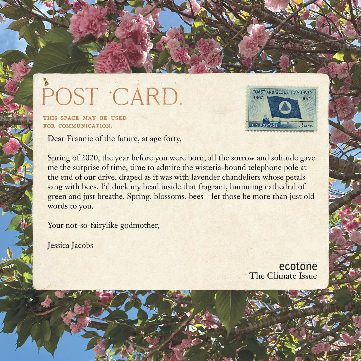 EcotoneMagazine's tweet photo. #Climatepostcard no. 5, from @jessicalgjacobs https://t.co/BChe5fd1Fu