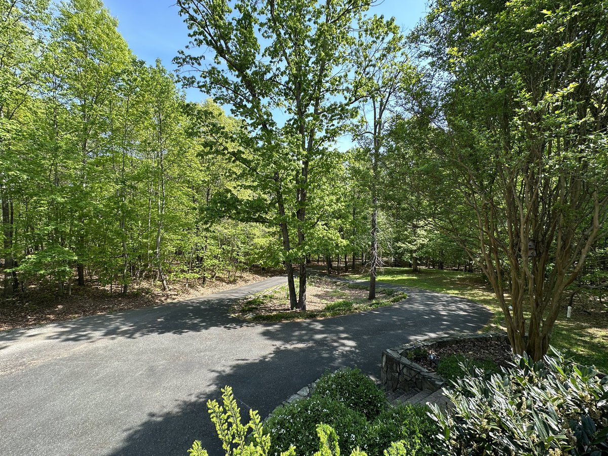 Spring has sprung at the manor!  Life is good!  #blessed