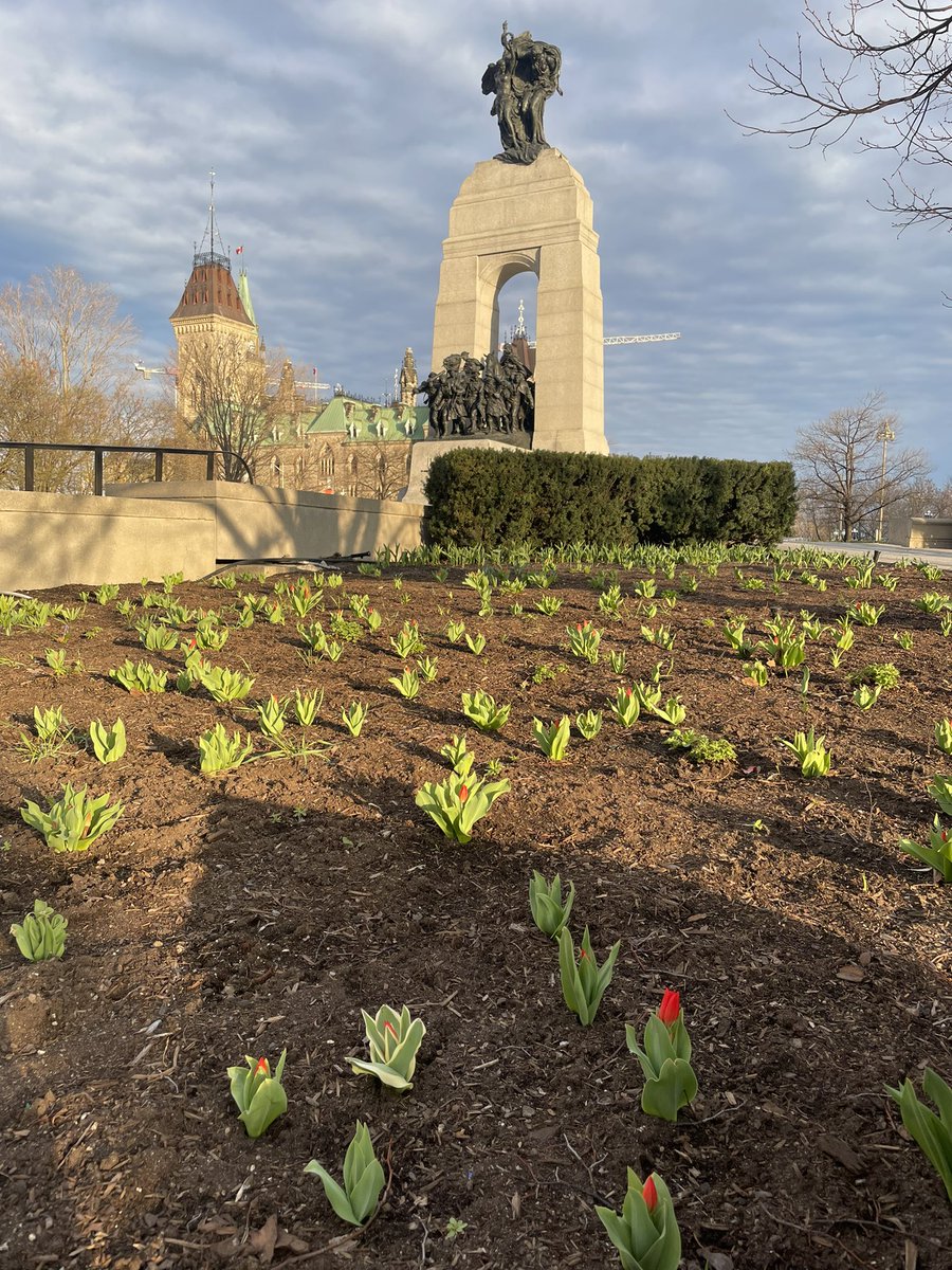 #LestWeForget
