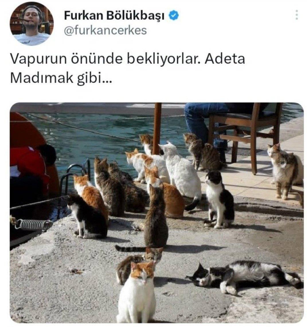 Robin Hood tweet media
