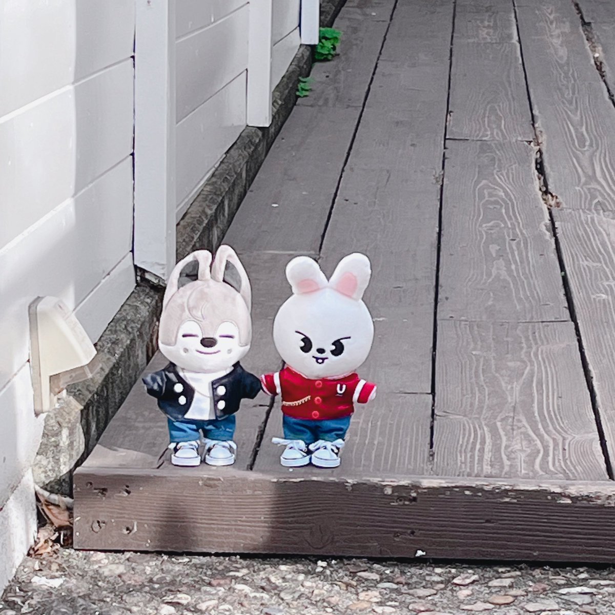 minioji3's tweet photo. ヒョンラ……🐺🤍🐰 https://t.co/Gq9b1GX4zy