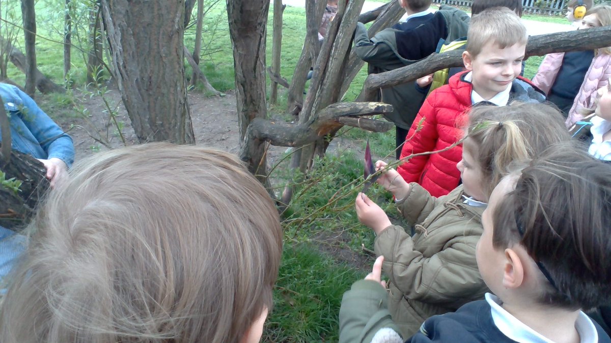 BPSHull's tweet photo. 1MH began their week hunting for the witch's lost items from the story 'Room on the Broom'. They found a hat, a bow, a wand, and a broom snapped in two! #BPSWriting https://t.co/Bk6nbH3AQ5