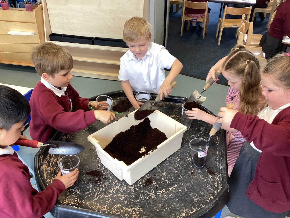 MrsEvansYRMLP's tweet photo. We have had a lovely afternoon planting our beans for our science topic 👏🌱@MabLanePri https://t.co/uO73WLZ1LC