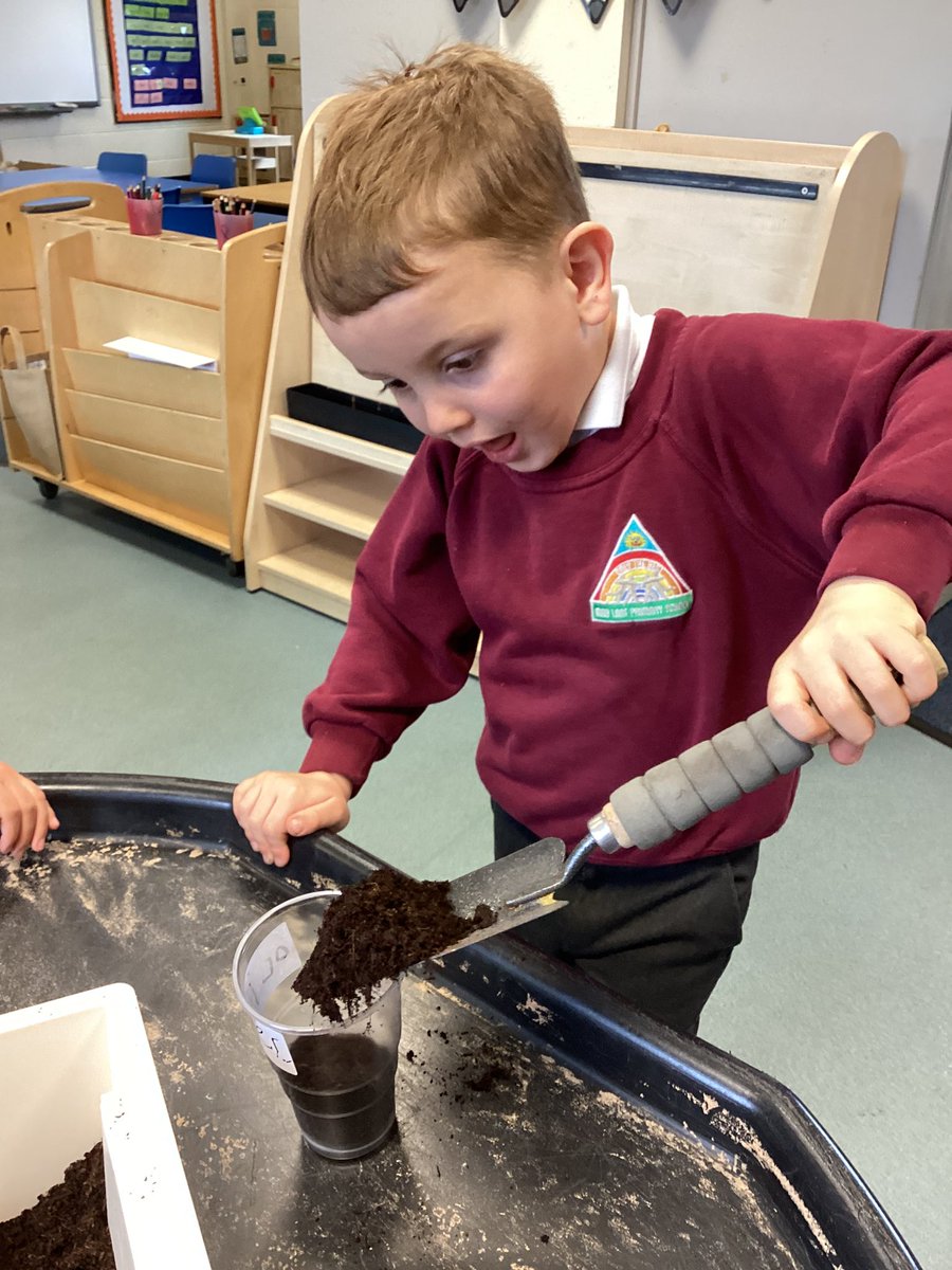 MrsEvansYRMLP's tweet photo. We have had a lovely afternoon planting our beans for our science topic 👏🌱@MabLanePri https://t.co/uO73WLZ1LC