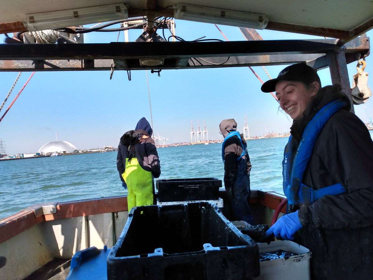 Kate Dey tweet media