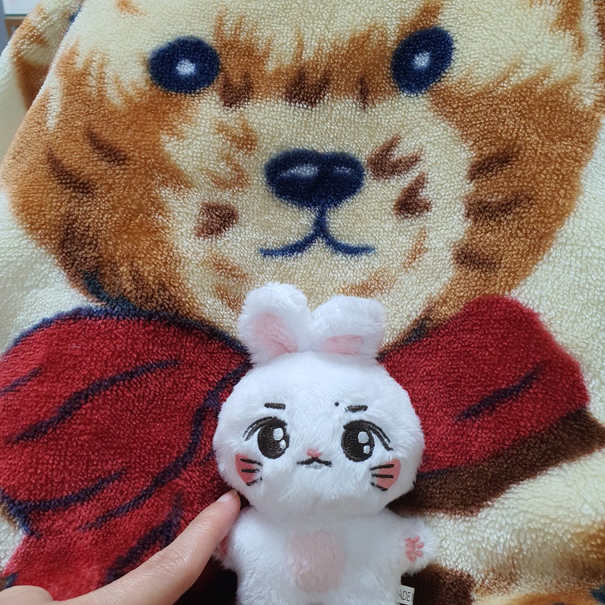 티비보는 나를 무릎위에서 한심하게 보는듯한 녀석...