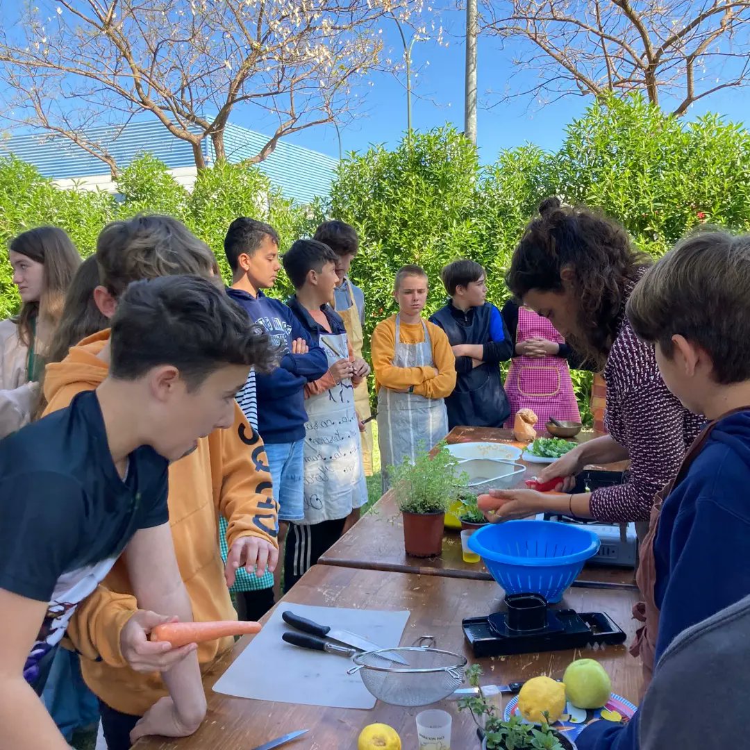 IES Son Pacs tweet media