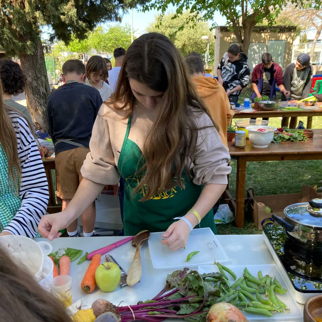 IES Son Pacs tweet media