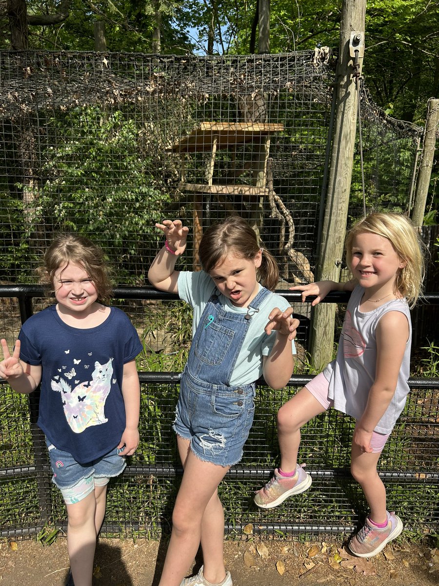 Three 1st grade <a href="/belvedereESAACP/">Belvedere ES</a> bobcats visited real bobcats at the <a href="/NationalZooDC/">Smithsonian's Zoo</a> on their day off today! #AACPSAwesome