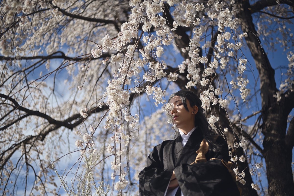 twst_asu's tweet photo. 【呪術/cos】夏油傑

桜

photo(@New_calvados05 ) https://t.co/5oufOg8Yld
