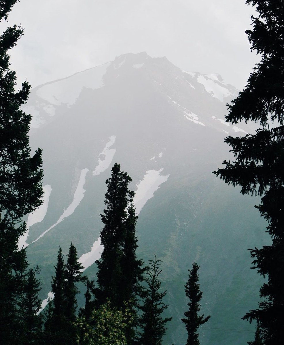 Sights Of Sara tweet media